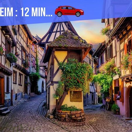 Апартаменты Le Blue St Leon : 2 Pieces Cozy Lit King Size Wifi Кольмар Экстерьер фото